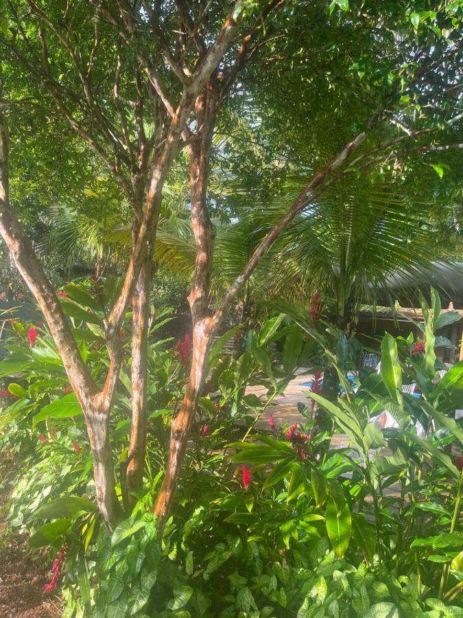 Itamambuca Homestay